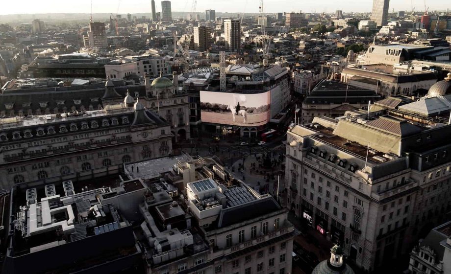 The Hero by Marina Abramovic